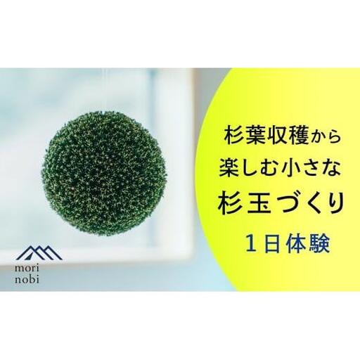 森のめぐみをてのひらに下北山の森でつくる「小さな杉玉」体験