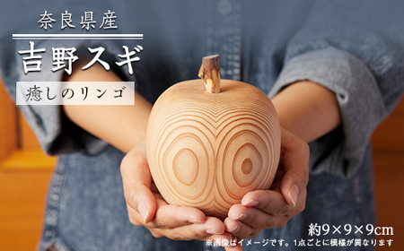 吉野杉 癒しのリンゴ 1個