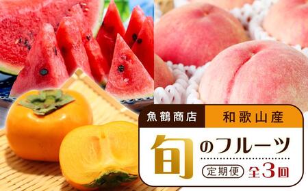 【6・8・10月 全3回】和歌山産 旬のフルーツのお楽しみ 定期便 【魚鶴商店】【UT112】