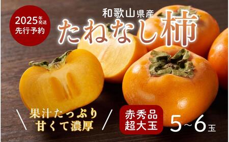 柿 種無し 赤秀品 超大玉 1.8kg 5〜6個 [先行予約][2025年9月下旬頃から発送][KG4]