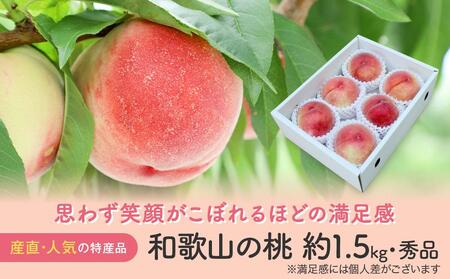 [産直・人気の特産品]和歌山の桃 約1.5kg★2025年6月下旬〜8月上旬頃順次発送★[TM92]