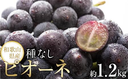 yVNEYza̎R炬Y˂ȂsI[l1.2kg2025N8{菇yTM126z