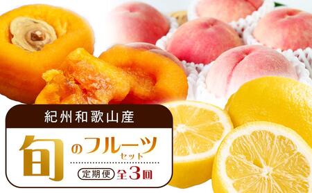 [1・3・7月 全3回]紀州和歌山産旬のフルーツセット(あんぽ柿・レモン・桃) 定期便 [魚鶴商店][UT65]