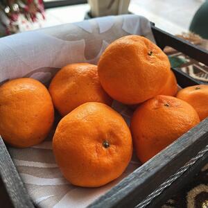 I n |J 3kgms\nmMS49n