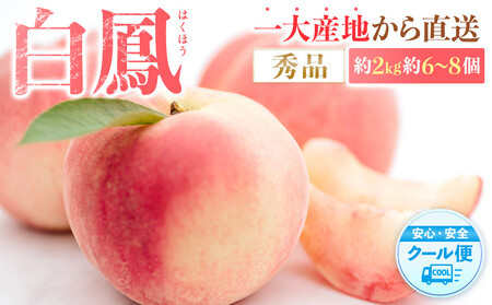 s̔Imn P@̉lI2kg6`8 m2026N6{菇nmGin_ƌI mKG12n