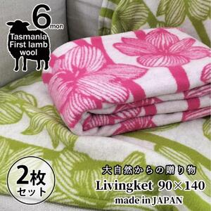 【2枚組】洗える！やわらかラムウール混 北欧調ブランケット ハーフサイズ 90×140cm（ SH-35921-2P）