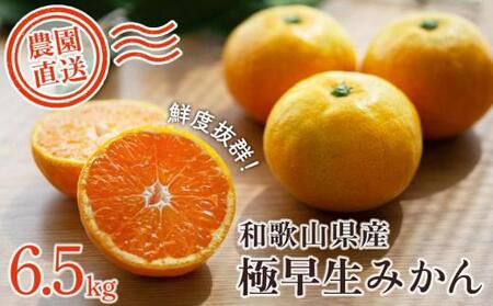 極早生みかん 約6.5kg 大小混合 《ご家庭用》ちょっと訳あり 和歌山県より農園直送！まごころ産直みかん【北海道・沖縄県・一部離島 配送不可】混合サイズ ミカン 蜜柑 温州みかん わけあり 訳アリ【Mg2】