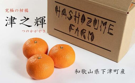 津之輝 3kg 赤秀 和歌山津之輝 フルーツ 果物 くだもの 柑橘 みかん 和歌山 海南市 まごころ産直みかん 産地直送