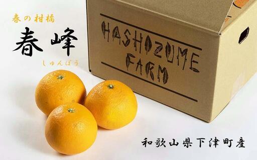 春峰 3kg 赤秀 和歌山春峰 フルーツ 果物 くだもの 柑橘 みかん 和歌山 海南市 まごころ産直みかん 産地直送