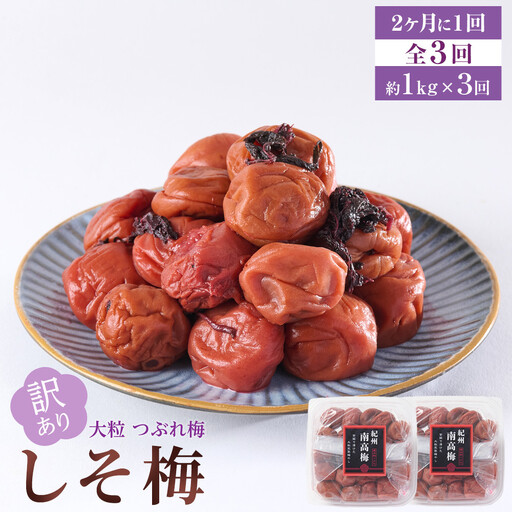 訳あり 梅干し 大粒 大玉 つぶれ梅 しそ梅 約1kg (500g×2)  × 3回 塩分10% [ 定期便 2か月に１回発送・全3回 ]