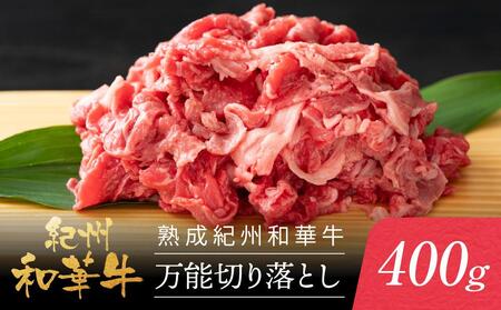 nIBa؋ \؂藎Ƃ 400g