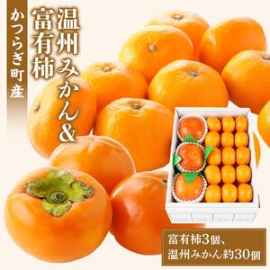 道の駅くしがきの里セット 富有柿3個・温州みかん約30個の詰め合わせ こだわり農家厳選[KG29]