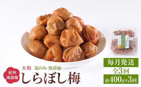 梅干し しらぼし梅 約400g 塩のみ 無添加 大粒 紀州南高梅 塩分約15% 和歌山県産 [ 定期便 毎月発送・全3回 ]