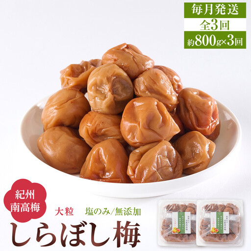 梅干し しらぼし梅  約800g（約400g×2） 塩のみ 無添加 大粒 紀州南高梅 塩分約15％ 和歌山県産 [ 定期便 毎月発送・全3回 ]