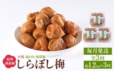梅干し しらぼし梅 約1.2kg(約400g×3)塩のみ 無添加 大粒 紀州南高梅 塩分約15% 和歌山県産 [ 定期便 毎月発送・全3回 ]