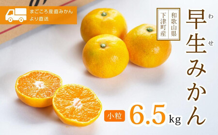 早生みかん 小粒みかん 6.5kg S・SSサイズ 秀品 [11月〜1月発送] まごころ産直より農園直送 [北海道・沖縄県・一部離島 配送不可] Sサイズ 2 小玉 小粒 小さい こつぶ こだま ミカン 蜜柑 mikan 早生[Mg41]