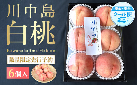 m2026NnmIʌs\In쒆 2kg 6 1001̌Ii _ƌIImKG33n