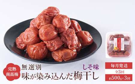 無選別 和歌山の完熟南高梅 味が染み込んだ梅干し しそ味 500g 塩分10% [定期便 毎月発送・全3回]