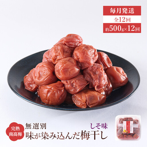 無選別 和歌山の完熟南高梅 味が染み込んだ梅干し しそ味 500g 塩分10％ [定期便 毎月発送・全12回]