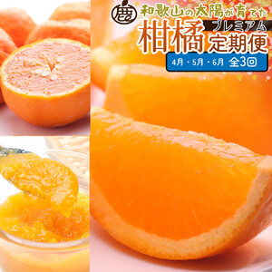 I kSi4`6jS3 mIKE289n