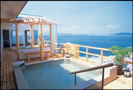 [加太淡嶋温泉大阪屋ひいなの湯]ペア日帰り 入浴券 ≪昼食(和定食)付≫