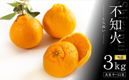 不知火 約3kg 大玉9～11玉入り 《赤秀》 和歌山県産 農園直送 まごころ産直みかん 【北海道・沖縄県・一部離島 配送不可】 みかん 果物 柑橘 しらぬい デコポンと同じ品種 でこぽん ［Mg52］