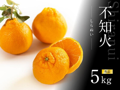 不知火 約5kg 15～24玉入り 《赤秀》 和歌山県産 農園直送 まごころ産直みかん 【北海道・沖縄県・一部離島 配送不可】 みかん 果物 柑橘 しらぬい デコポンと同じ品種 でこぽん ［Mg53］