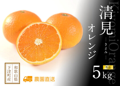 清見オレンジ 約5kg M・L・2Lサイズおまかせ [赤秀] 和歌山県産 農園直送 まごころ産直みかん [北海道・沖縄県・一部離島 配送不可]Mサイズ Lサイズ LLサイズ みかん きよみ 清見タンゴール 清美 柑橘 贈答 [Mg62]