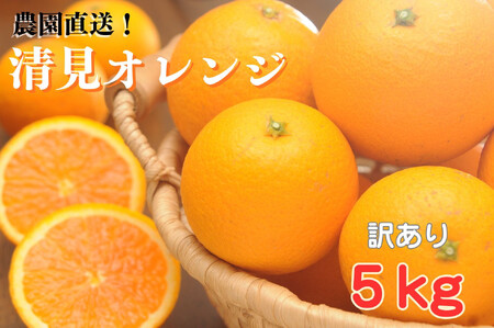 清見オレンジ 約5kg 大小混合 [ご家庭用] ちょっと訳あり 和歌山県産 農園直送 まごころ産直みかん [北海道・沖縄県・一部離島 配送不可] [Mg65]