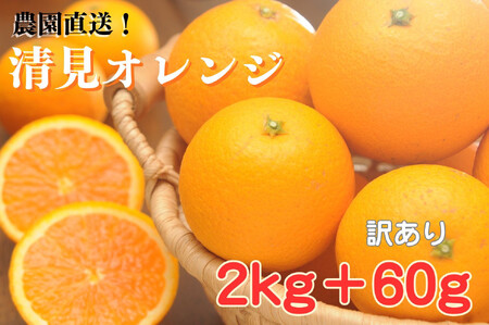 清見オレンジ 約2kg+60g傷み補償 大小混合 [ご家庭用] ちょっと訳あり 和歌山県産 農園直送 まごころ産直みかん [北海道・沖縄県・一部離島 配送不可] [Mg67]