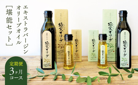 [定期便3ヶ月コース]エキストラバージンオリーブオイル 堪能セット[SM8-1]