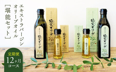 【定期便12ヶ月コース】エキストラバージンオリーブオイル 堪能セット【SM8-3】