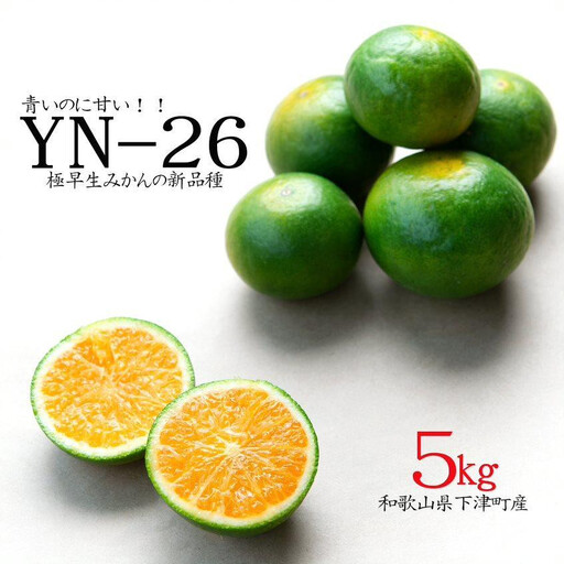 極早生みかん 約5kg 2S～Mサイズ混合 《赤秀》 和歌山県産 農園直送 まごころ産直みかん 【北海道・沖縄県・一部離島 配送不可】 YN26 9月 旬 希少 みかん 厳選 フルーツ 果物 くだもの 人気 おすすめ 送料無料 秋みかん［Mg34］