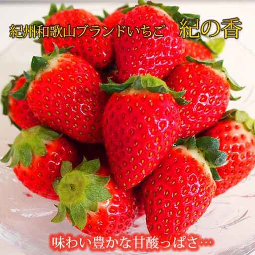 紀州和歌山ブランドいちご「紀の香」約250g×4P [UT143]