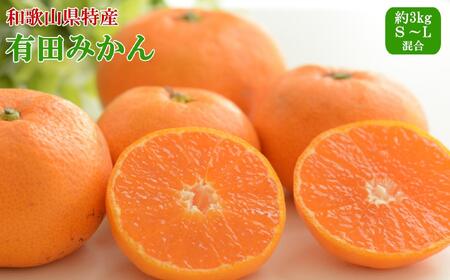 [秀品]和歌山有田みかん約3kg(S〜Lサイズ混合)★2025年11月中旬頃より順次発送[TM96]