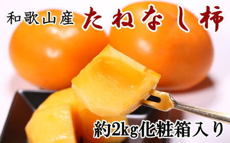 [秋の味覚]和歌山産たねなし柿2L〜4Lサイズ 約2kg(化粧箱入り)★2025年9月中旬頃より順次発送[TM39]