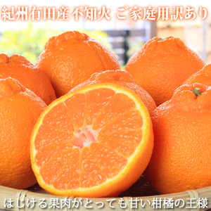 mƒpLnIBLcYsm(ʂ) 8.5kgm2026N2{ȍ~nms\nmUT41n