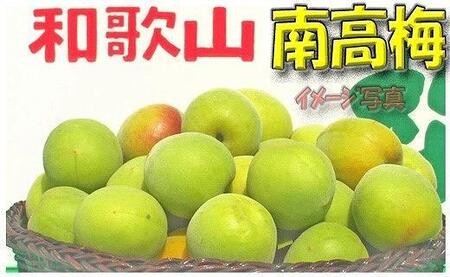 [梅干・梅酒用](LまたはM-10Kg)熟南高梅[2026年6月上旬〜7月7日発送予定]フルーツ 果物 くだもの 食品 人気 おすすめ 送料無料[ART08]