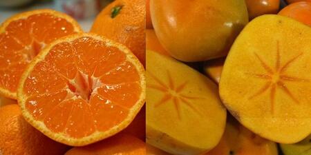 和歌山産 みかんとたねなし柿セット 10kg(各5kg×2)【ヤマタ大谷商店】