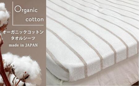 オーガニックコットン タオルシーツ シングルサイズ(145×230cm)ボーダー ブラウン SNS-13-BR
