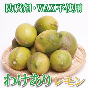 ƒp 2.5kg+250giݕ⏞jya̎RLcYzyh܁EWAXsgpAS̍Yzy킯E󂠂背z mIKE124n