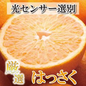 [先行予約]厳選 はっさく5kg+250g(傷み補償分)[八朔みかん][光センサー選別][IKE26]
