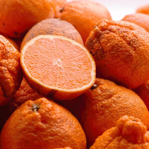 家庭用 不知火10kg+250g（傷み補償分）［デコポンと同品種・人気の春みかん］［わけあり・訳あり］［IKE254］