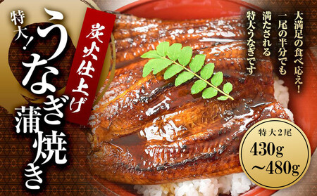 うなぎ蒲焼き2尾入り 430g〜480g(蒲焼たれ4袋 山椒付き)[KS5]