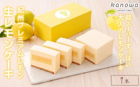 ẙŔXC[cz IBv~AP[L