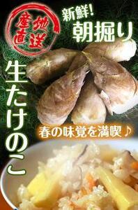 たけのこ 和歌山県産 朝堀り筍 約4kg ぬか付き