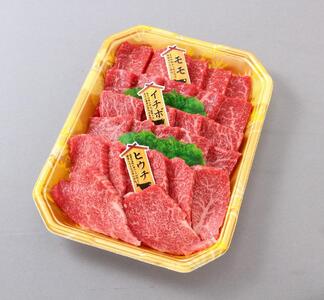 auF싍vIēHה׃Zbg600g@4ȏ