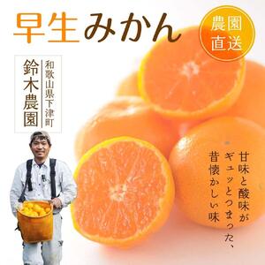 早生みかん 5kg 小玉サイズ みかん