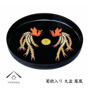 ۖ~  P e 32cmyYG258z