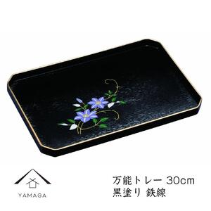万能トレー 黒 鉄線 30cm[YG276]